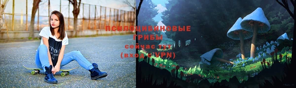 соль ск Костерёво