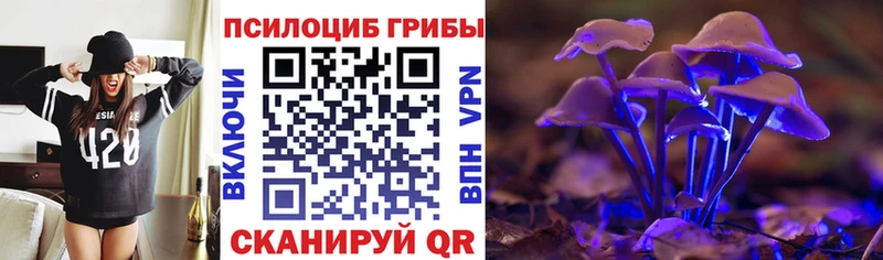 Купить  Коломна  Галлюциногенные грибы Psilocybe 
